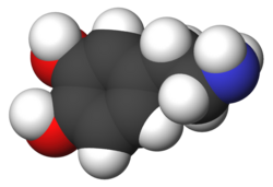 Molekulyar modelin şəkli