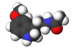 Molekulyar modelin şəkli
