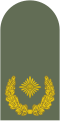 Almaniya (bundesver): Brigadegeneral