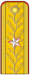 Rumıniya: General de brigadă