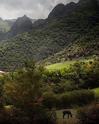 Lerik rayonu ərazisində Talış dağları
