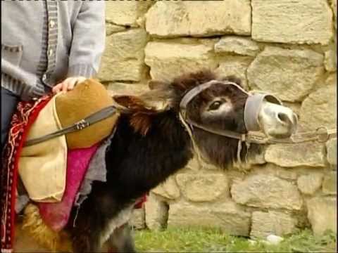 Abbas Bagirov - Esqin mehebbeti Mp3 Yüklə